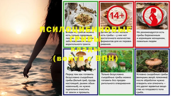 гидра Верея