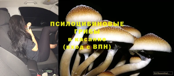 герыч Верхний Тагил