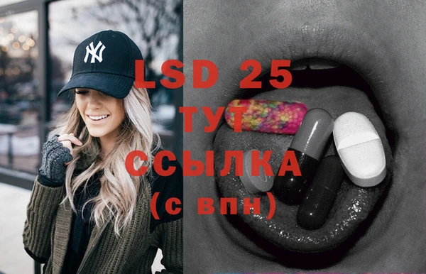 гидра Верея