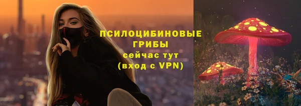 гидра Верея