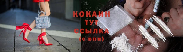 гидра Верея