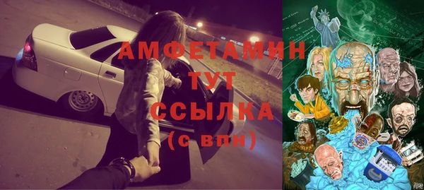 гидра Верея