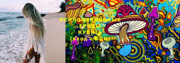 гидра Верея