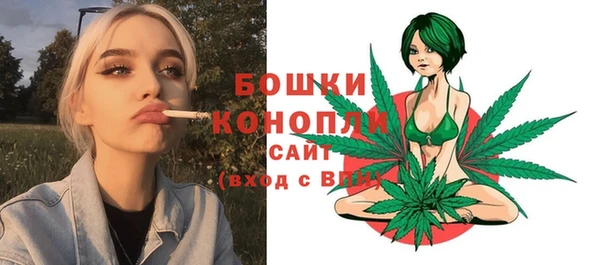 гидра Верея