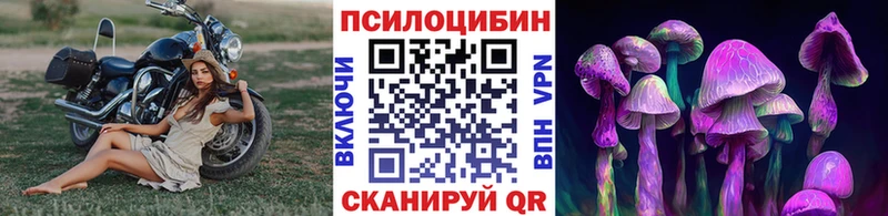 Псилоцибиновые грибы Magic Shrooms  Новохопёрск 